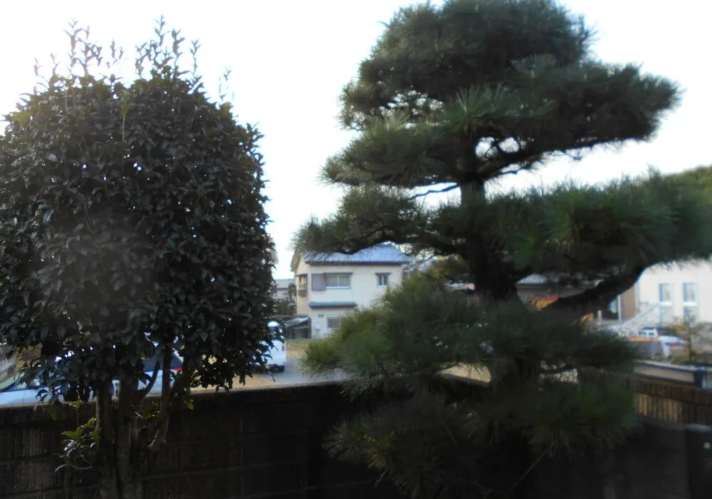 画像1688：嵐山町S邸