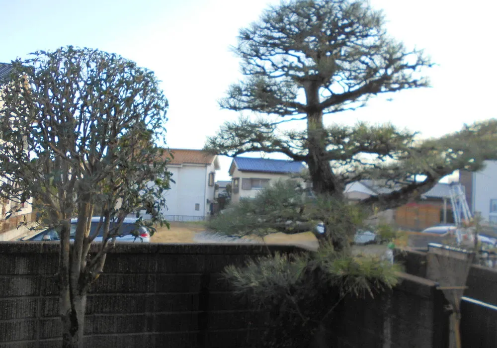 画像1689：嵐山町S邸