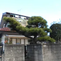 画像1690：嵐山町S邸