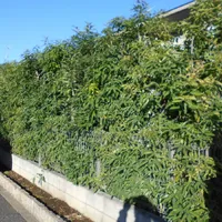 画像1693：嵐山町S邸