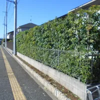 画像1694：嵐山町S邸