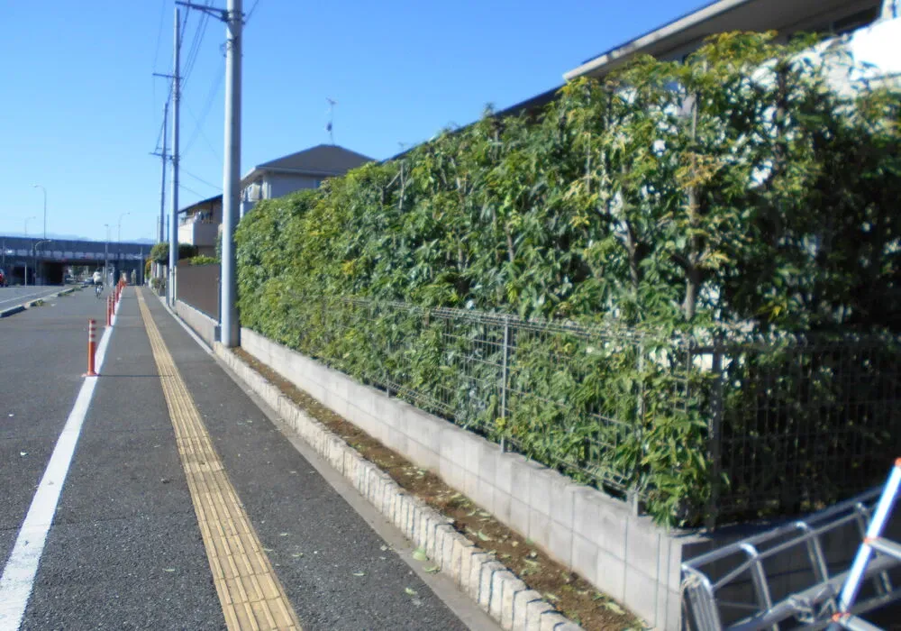 画像1694：嵐山町S邸