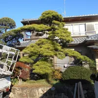 画像1705：嵐山町S邸