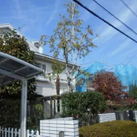 画像1711：嵐山町S邸