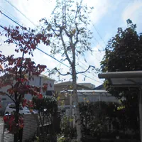 画像1713：嵐山町S邸