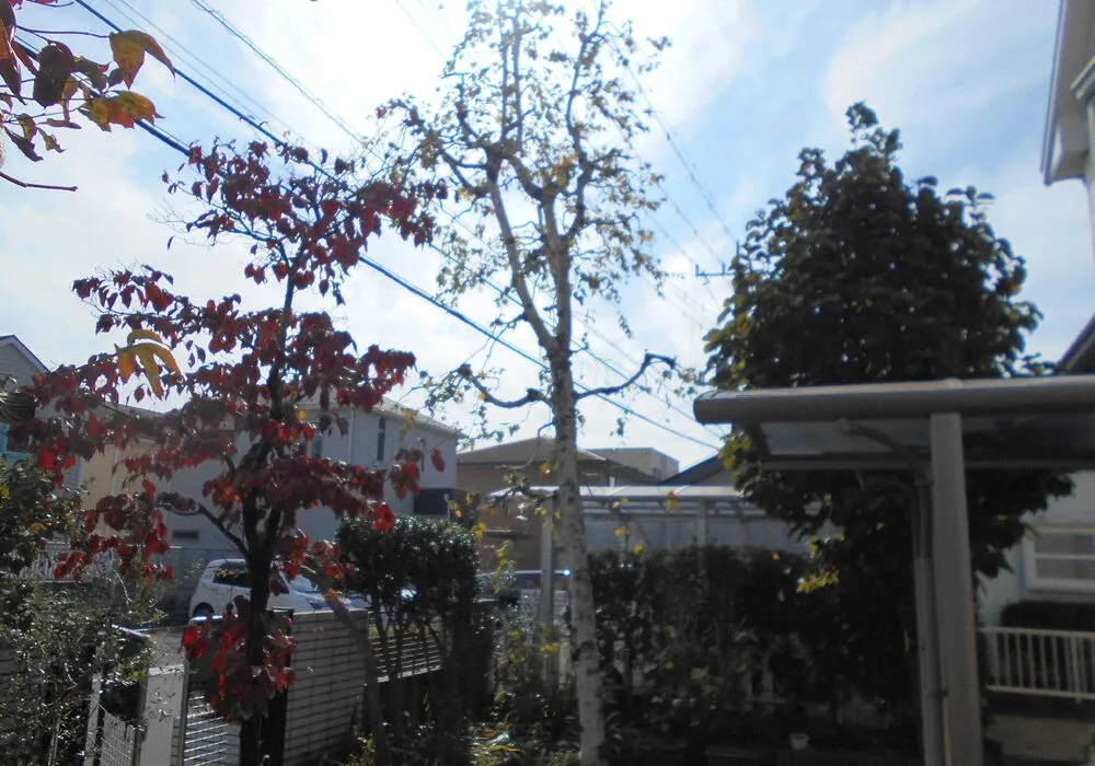 画像1713：嵐山町S邸