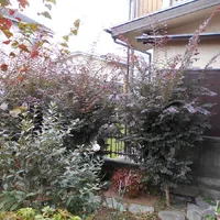 画像1717：嵐山町S邸