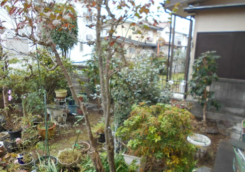 画像1718：嵐山町S邸