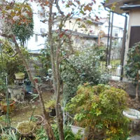 画像1722：嵐山町S邸