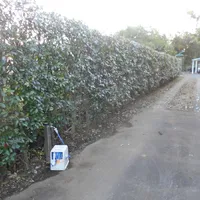 画像1733：嵐山町S邸