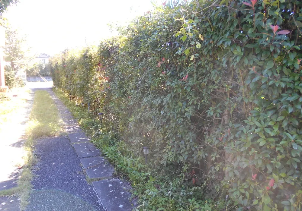 画像1734：嵐山町S邸