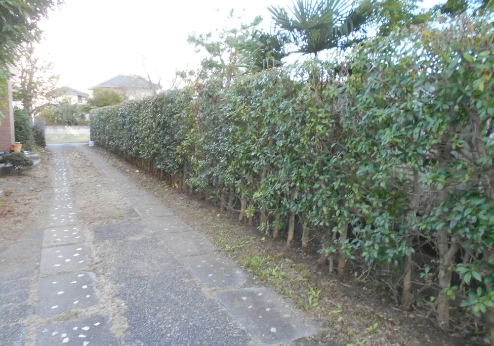画像1735：嵐山町S邸