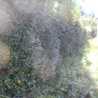 画像1736：嵐山町S邸