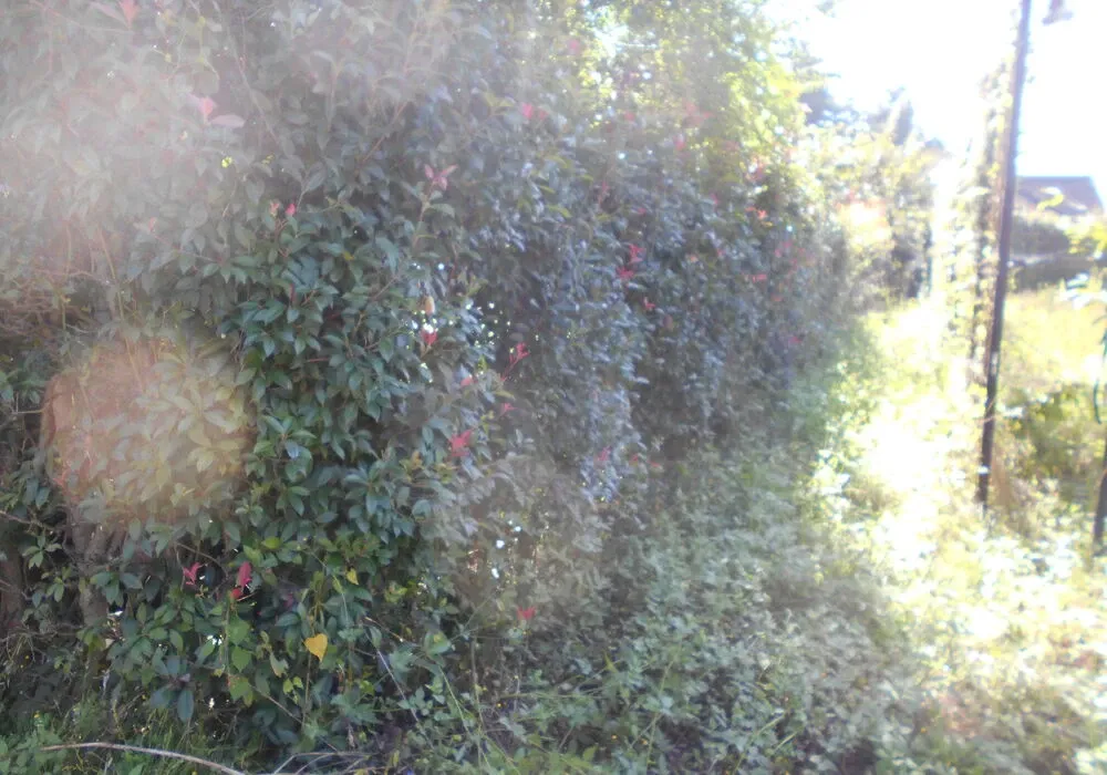 画像1736：嵐山町S邸