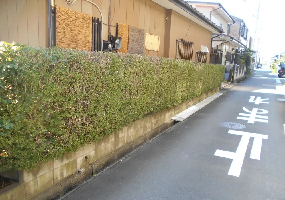 画像1793：嵐山町S邸
