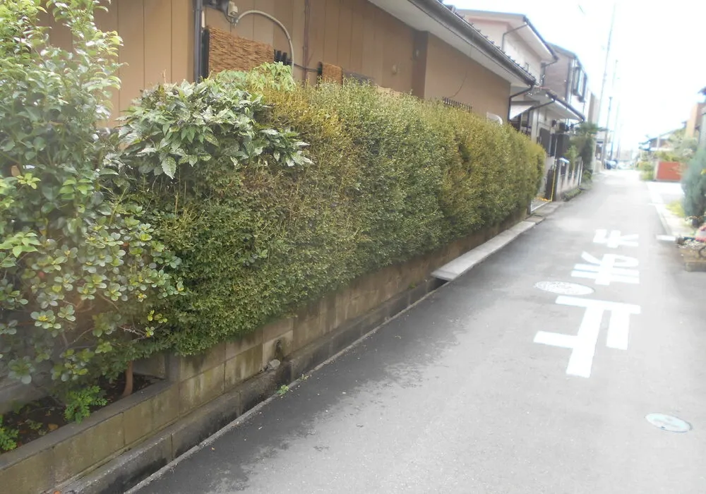 画像1794：嵐山町S邸