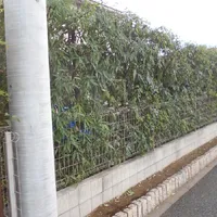 画像1832：嵐山町S邸