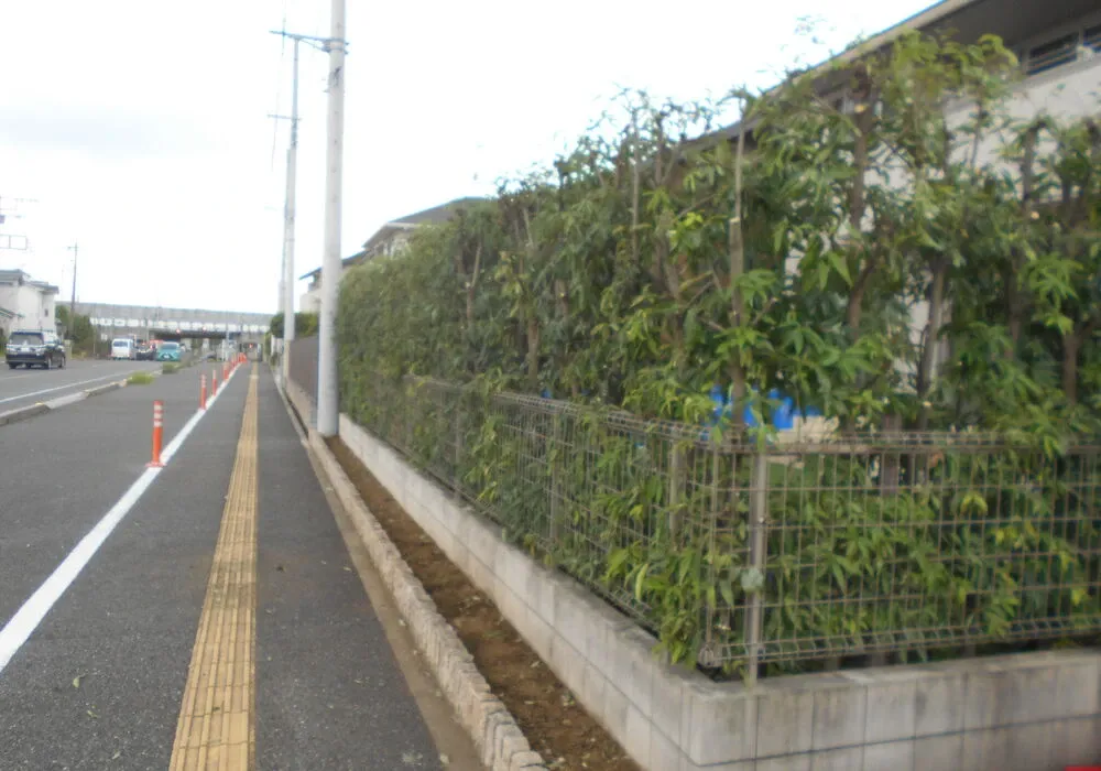 画像1834：嵐山町S邸