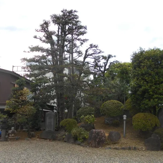 画像1840：東京都豊島区 寺院様