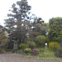 画像1841：嵐山町S邸