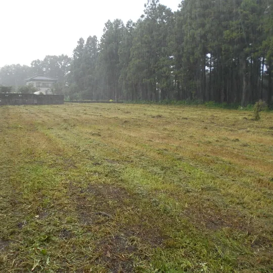 画像1860：小川町 O邸 草地管理🌱 機械除草工✃