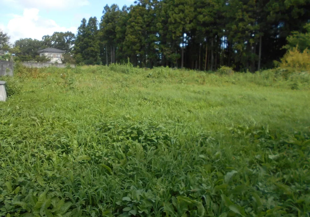 画像1861：嵐山町S邸