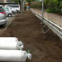 坂戸市内の某事業所内緑地の新規地被植え付けbefore