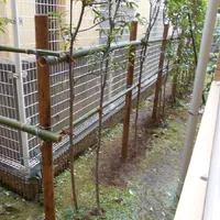 ウッドフェンス設置後2