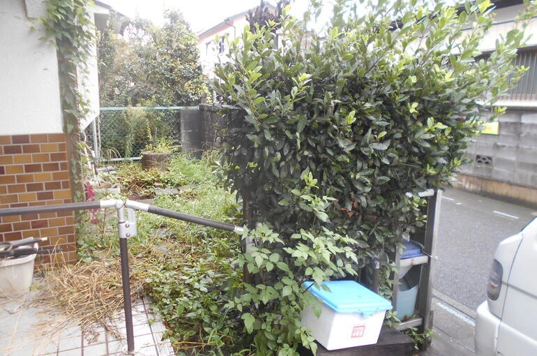 DSCN0455[1]