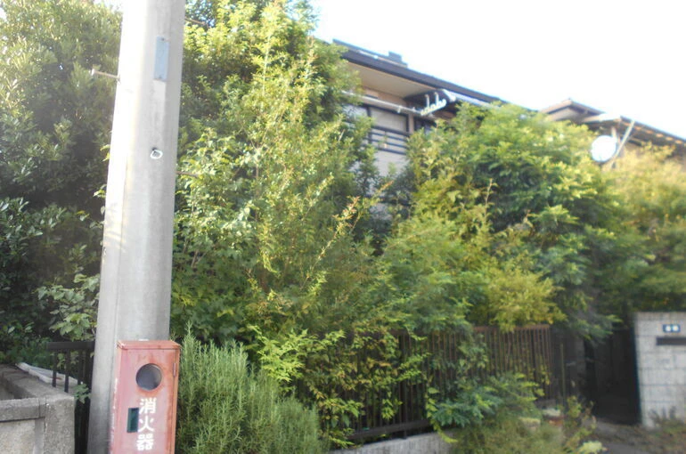 DSCN0420[1]