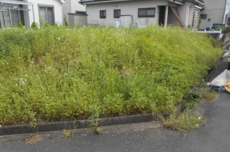 DSCN0511[1]