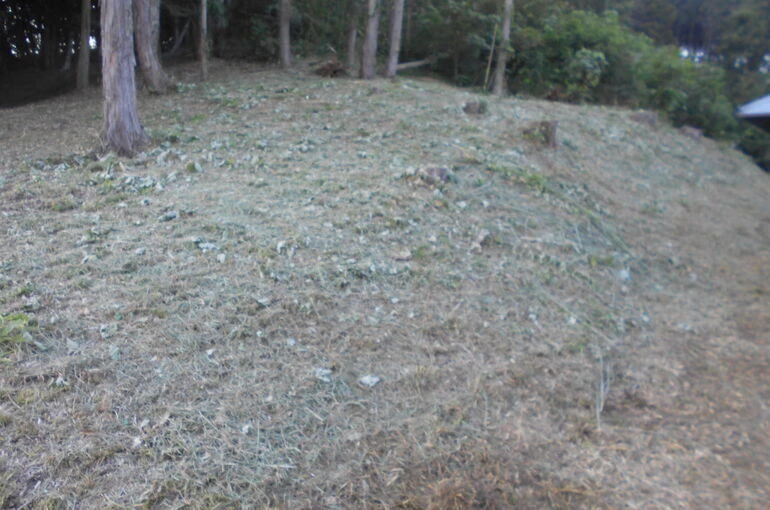 DSCN0549[1]
