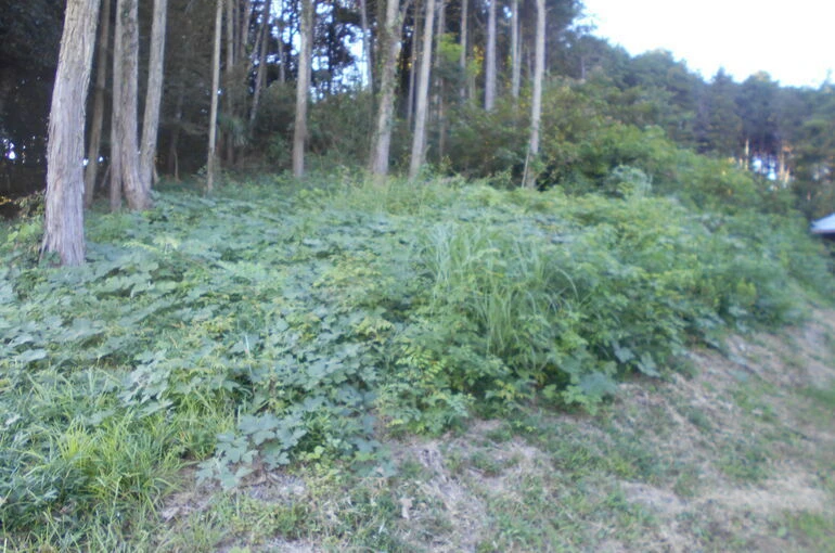 DSCN0542[1]