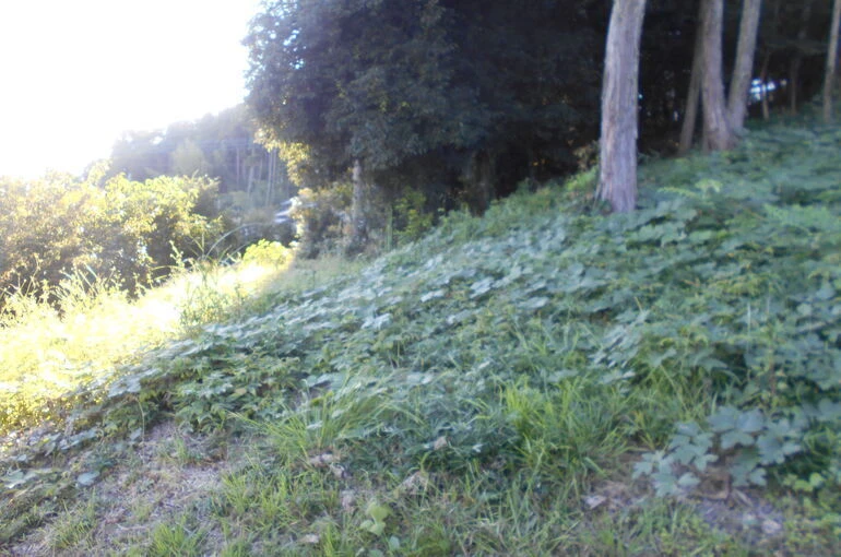 DSCN0541[1]