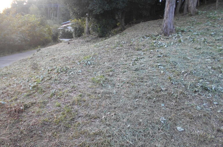 DSCN0548[1]