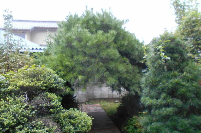 DSCN0472[1]