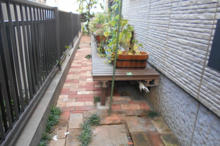 DSCN0562[1]