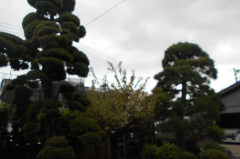 DSCN0664[1]