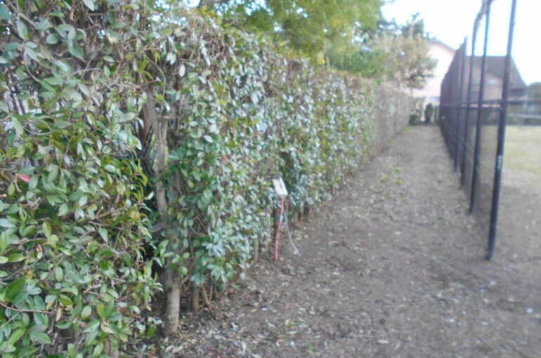 DSCN0703[1]