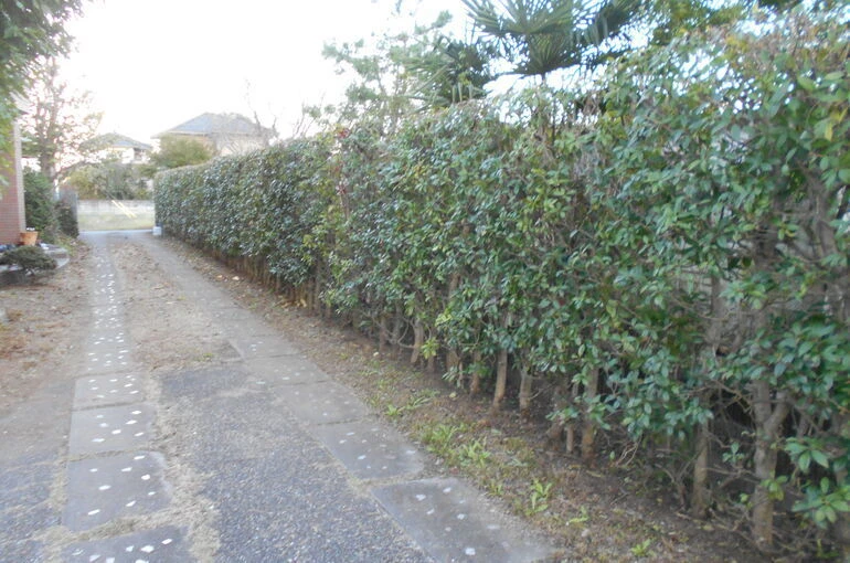 DSCN0702[1]